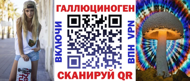 Псилоцибиновые грибы Psilocybe  Высоковск 